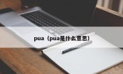 pua（pua是什么意思）